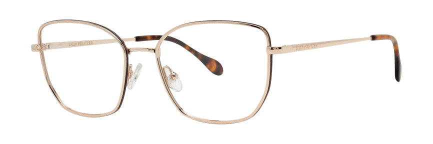 Gold Tortoise